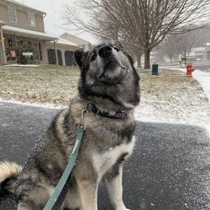 Meet your Posher, Dustin